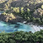 D Maris Bay