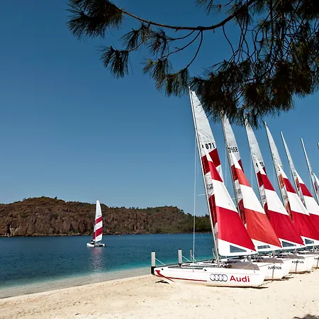 D Maris Bay