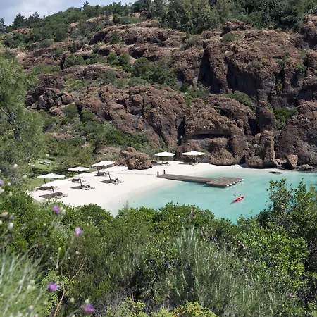 D Maris Bay